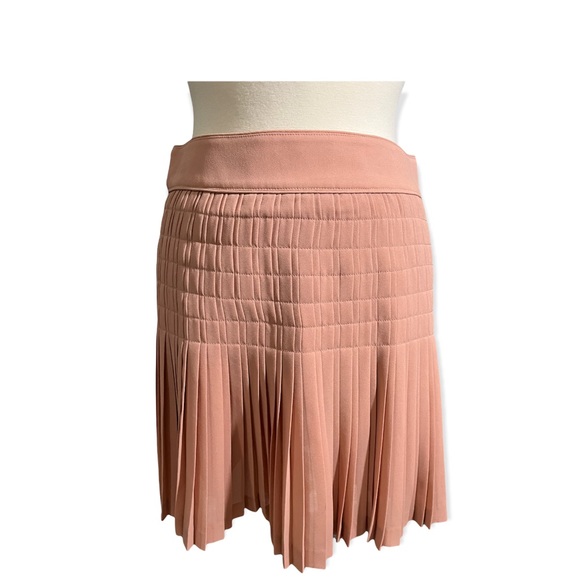 J.Crew Pleated Blush skirt - Picture 4 of 9